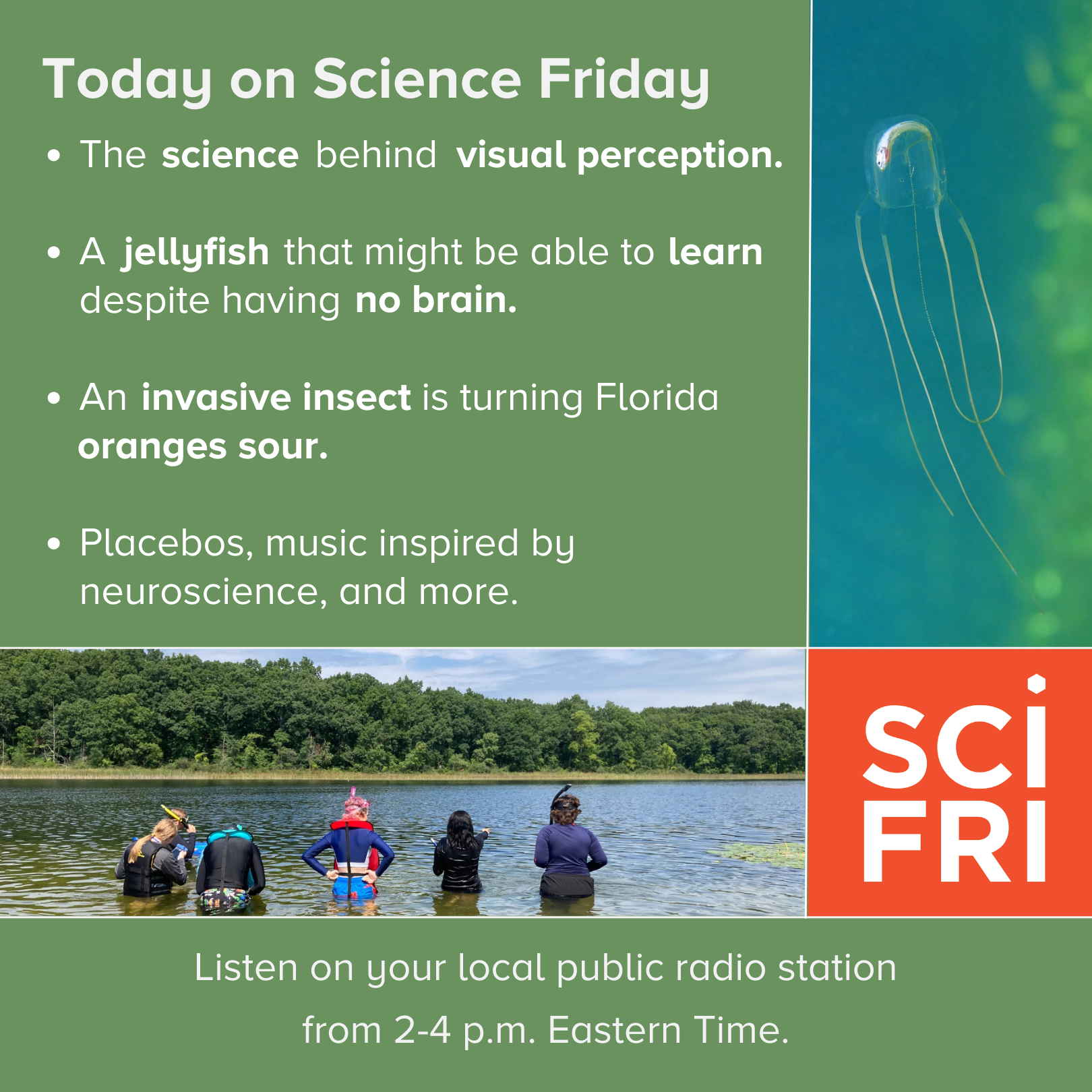 Science Friday - Dessa